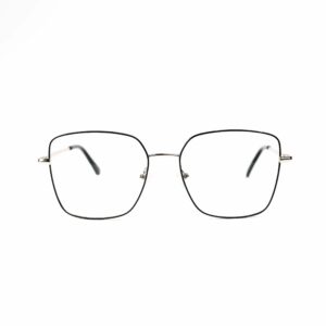 ZY6606 C1