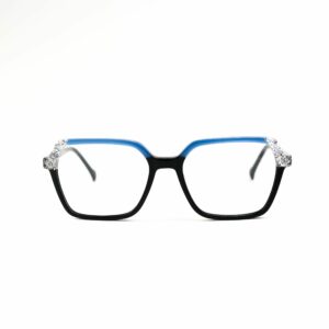 LM6027 C1
