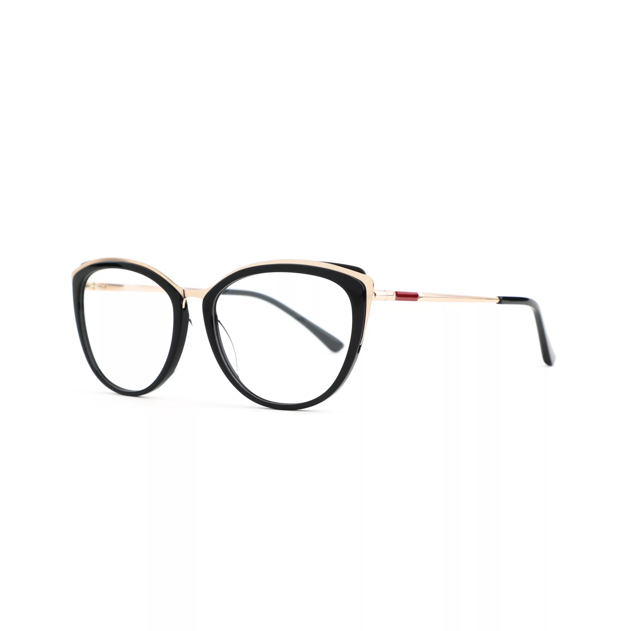 ZJ2137 C1 - Vision 360